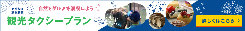 観光タクシープラン