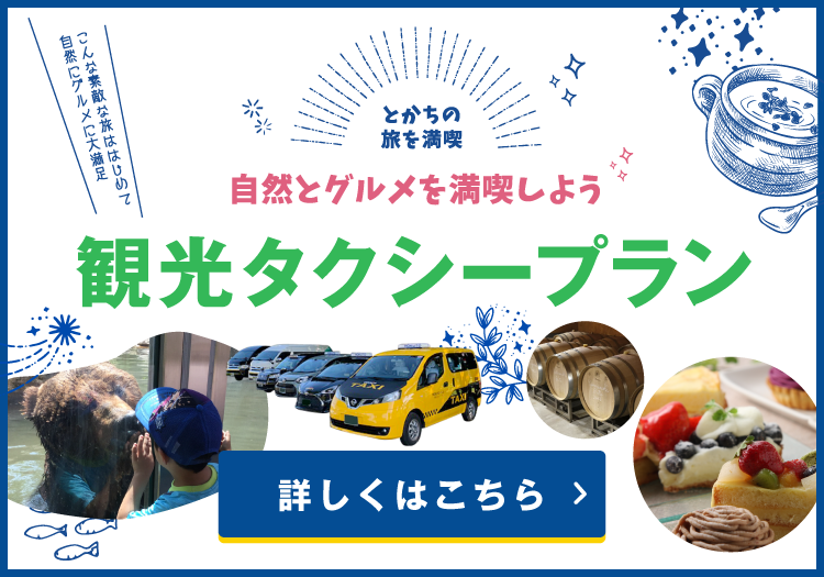 観光タクシープラン